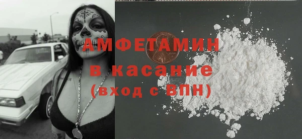 индика Абинск