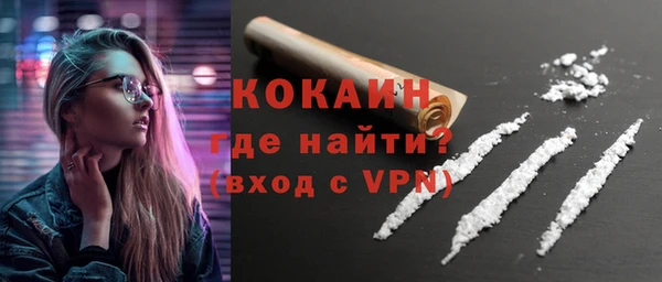 индика Абинск