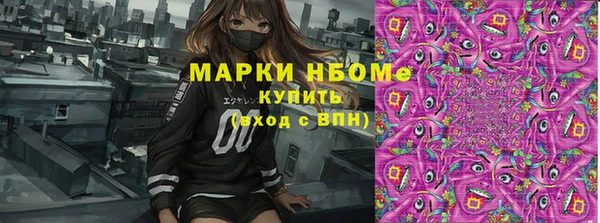 индика Абинск