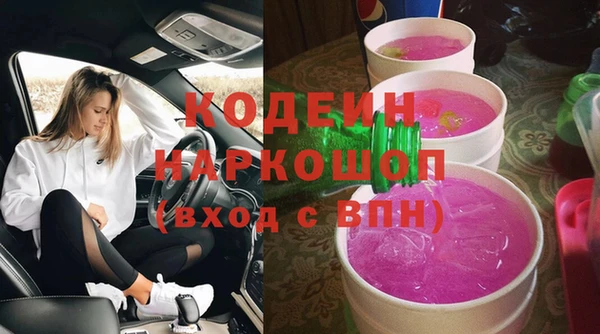 индика Абинск