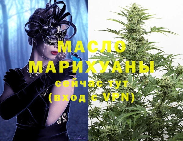 индика Абинск