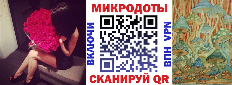 Псилоцибиновые грибы GOLDEN TEACHER  купить наркотик  Братск 