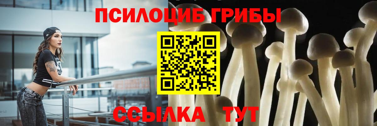Псилоцибиновые грибы Cubensis Братск